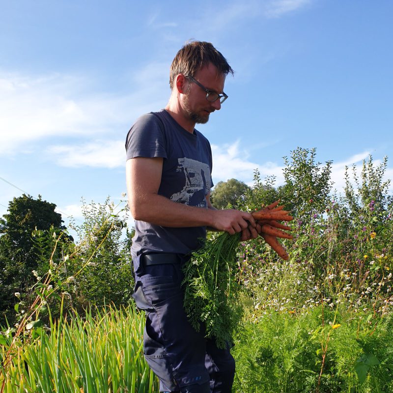 Marktgaertner-Eric-Haltenberger-westerheimer-gartengemuese