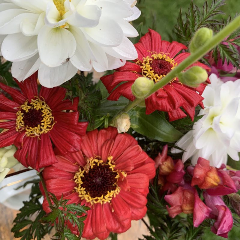 Frischer Slow-Flower Blumenstrauß aus eigenem Anbau in Westerheim an der Günz